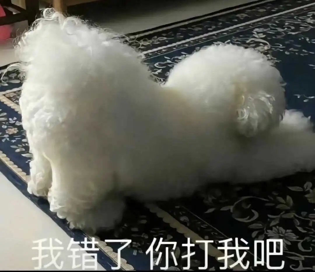 西檬之家-DS关系在字母圈的应用指南