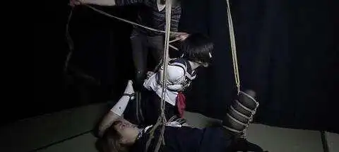 【西檬之家】字母圈新人入圈指南：理解BDSM亚文化的安全基石