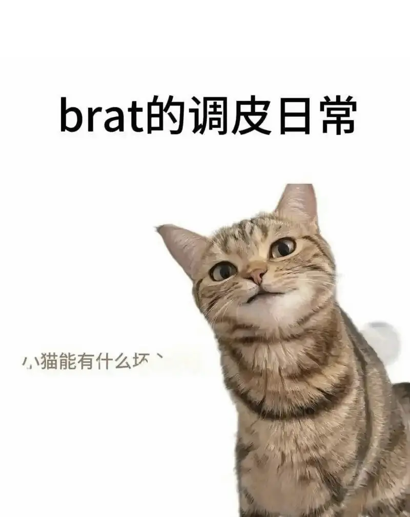 【西檬之家】解开字母圈新人大门：从BDSM基础到信任建立