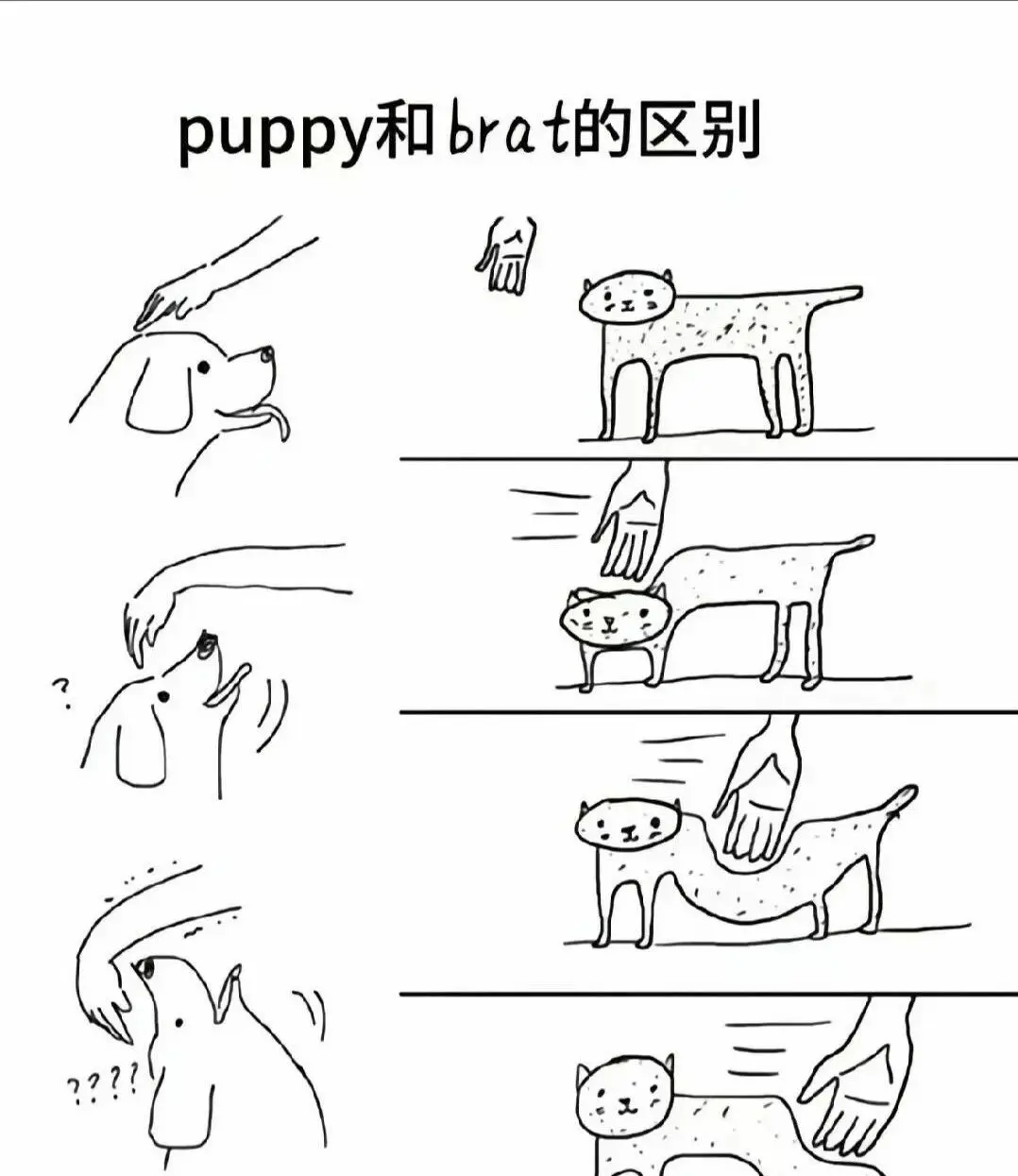 西檬之家-BDSM核心术语与新人入圈指南