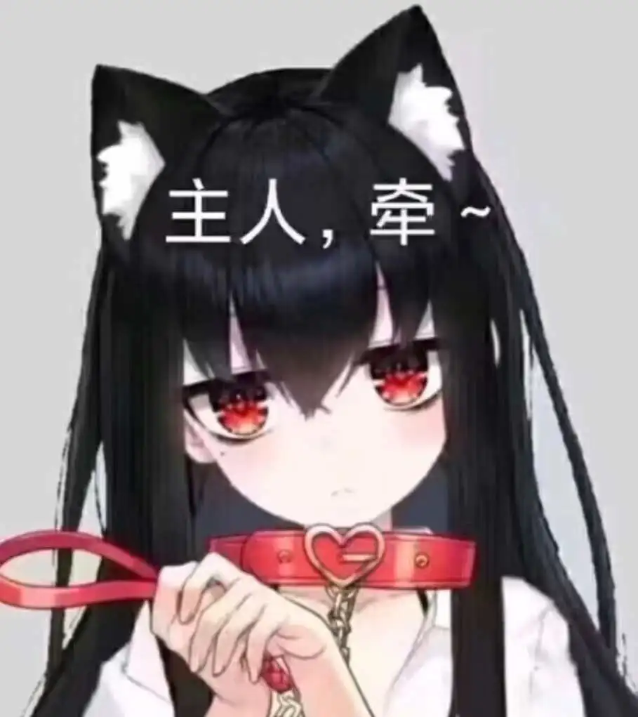【西檬之家】K8是什么？字母圈猫奴角色解析