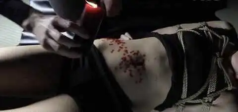 西檬之家-BDSM猫系角色扮演是什么意思？