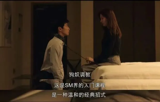 西檬之家-DT是什么意思？BDSM新人必读指南
