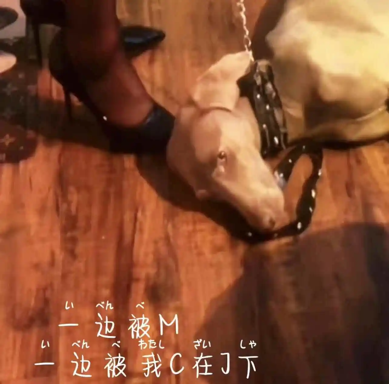 西檬之家-字母圈S倾向是什么？新人权威指南