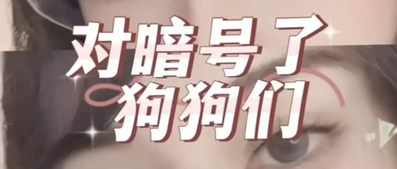 【西檬之家】字母圈新人怎么入圈？SM亚文化术语解析指南
