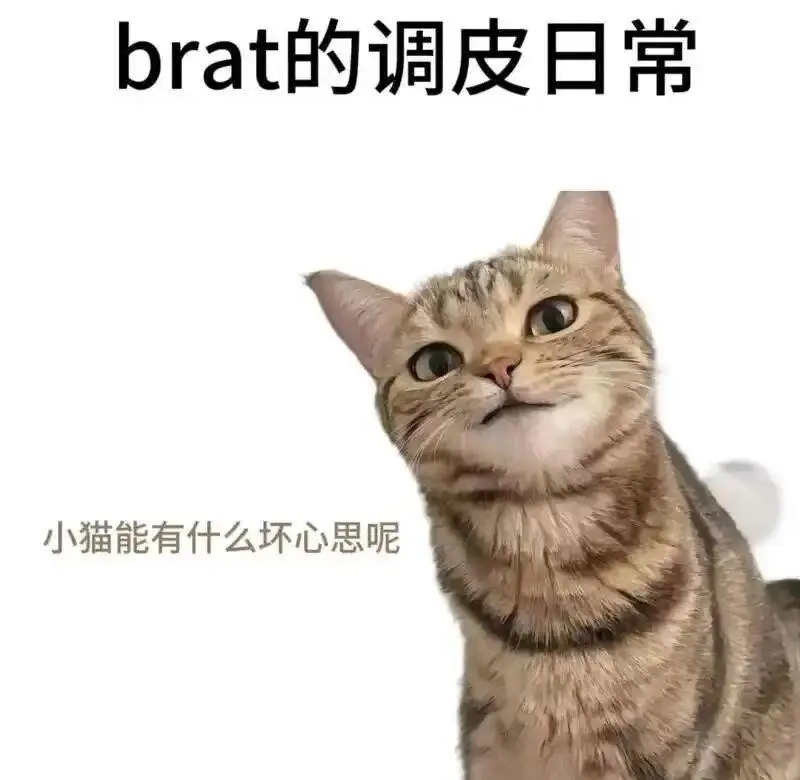 【西檬之家】新入圈指南：字母圈核心术语全解析
